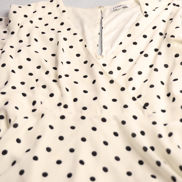 Trend4us Vintage Polka Dot Panel Fit & Flare Dress